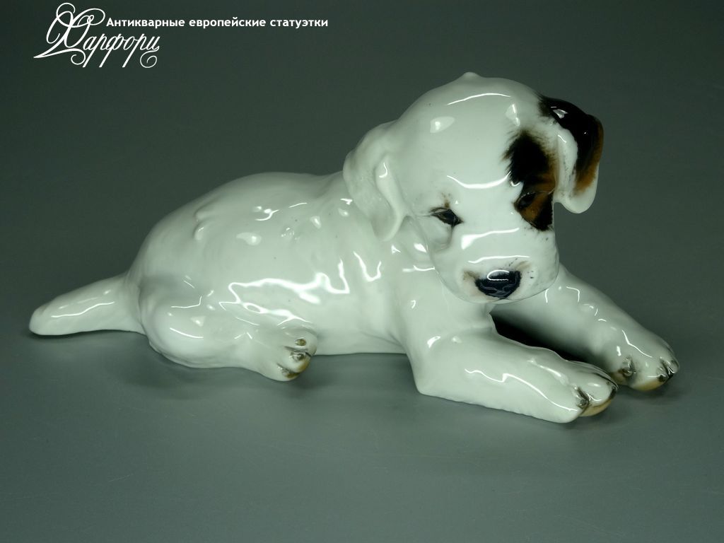 Купить фарфоровые статуэтки Rosenthal, Щенок терьера, Германия